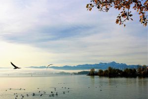 Mietwagen am Flughafen Friedrichshafen